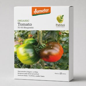 Organic Tomato Bhagirathi