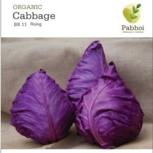 Cabbage(Roing)