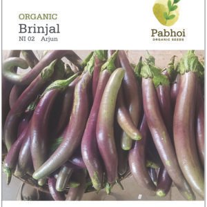 Brinjal (Arjun)