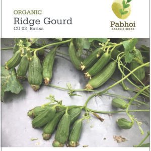 Ridge Gourd (Barixa)