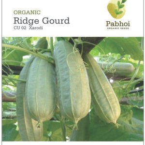 Ridge Gourd (Xarodi)
