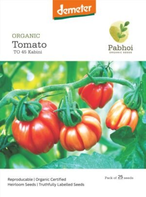Tomato-(Kabini)