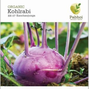 Kohlrabi - Kanchanjunga