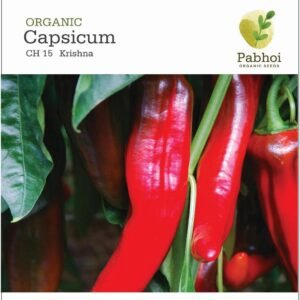 Capsicum(Krishna)