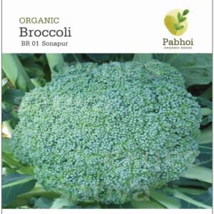 Broccoli-Sonapur