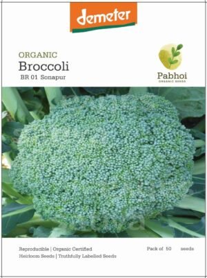 Broccoli-(Sonapur)