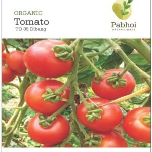 Tomato (Dibang)
