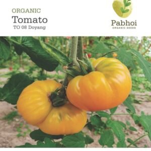 Tomato (Doyang)