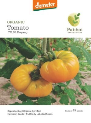 Tomato-(Doyang)