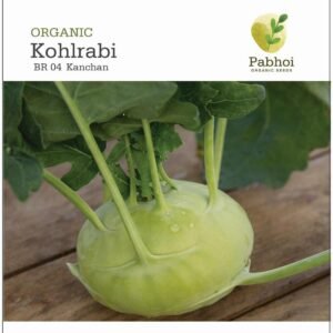 Kohlrabi-Kanchan