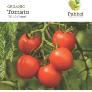 Tomato (Gomti)