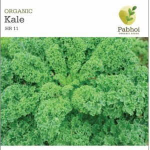 Kale