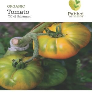 Tomato (Sabarmati)