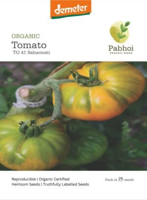Tomato-(Sabarmati)