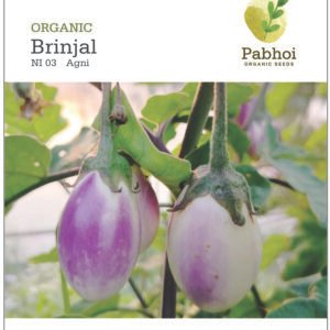Brinjal(Agni)