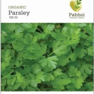 Parsley(Gigante d'Italia)