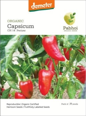 Capsicum-(Periyar)