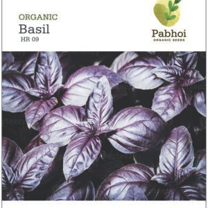 Basil