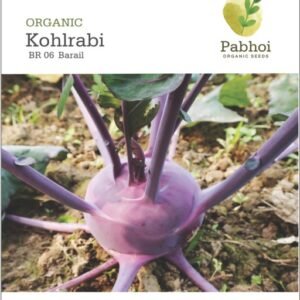 Kohlrabi (Barail)