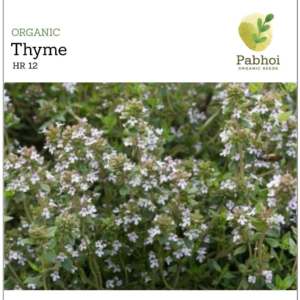 Thyme