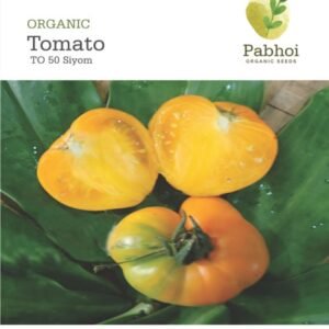 Tomato (Siyom)