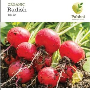 Radish