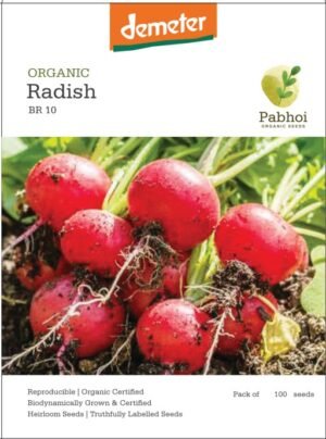 Radish