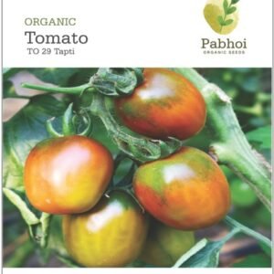 Tomato (Tapti)