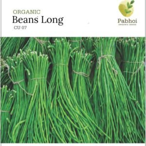 Beans Long