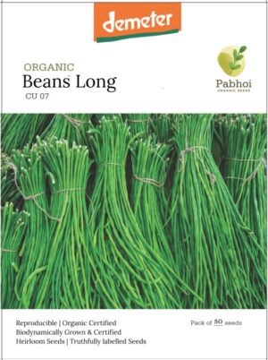 Beans Long