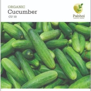 Cucumber