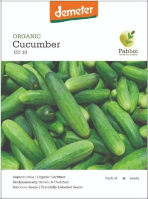 Cucumber