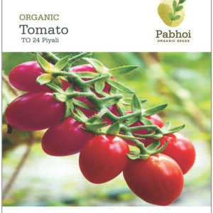 Tomato-Piyali