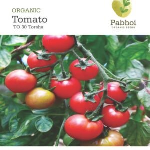 Tomato (Torsha)