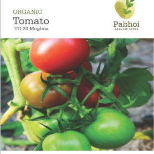 Tomato (Meghna)