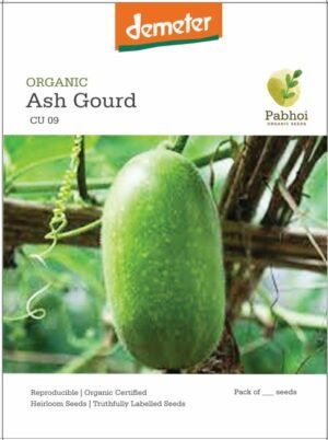 Ash Gourd