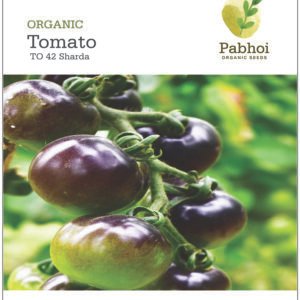 Tomato-Sharda