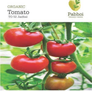 Tomato (Jiadhal)