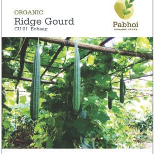 Ridge Gourd (Bohaag)