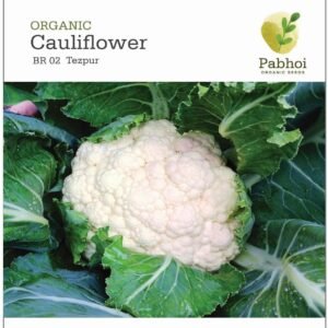 Cauliflower-Tezpur