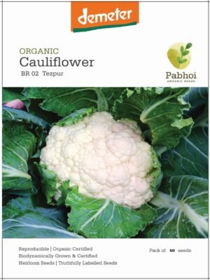 Cauliflower-(Tezpur)