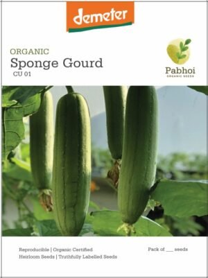 Sponge Gourd