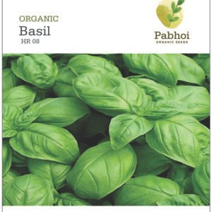 Basil