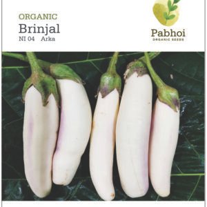 Brinjal(Arka)