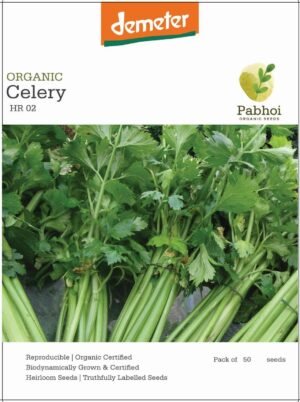Celery