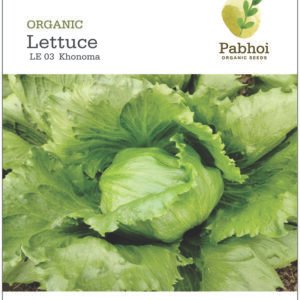 Lettuce-Khonoma
