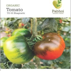 Tomato (Bhagirathi)