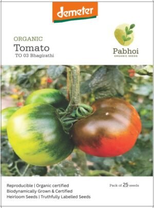 Tomato-(Bhagirathi)