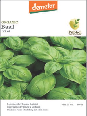 Basil