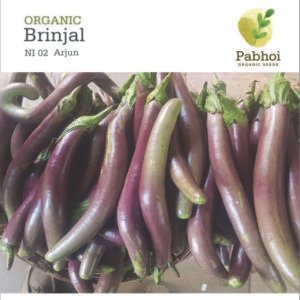 Brinjal (Arjun)